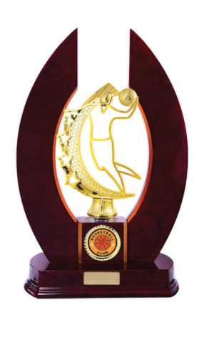 B24-2501CH: Timber Buildup Basketball