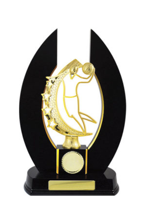 B24-2501DK: Timber Buildup Basketball