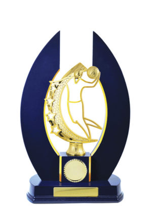 B24-2501RB: Timber Buildup Basketball