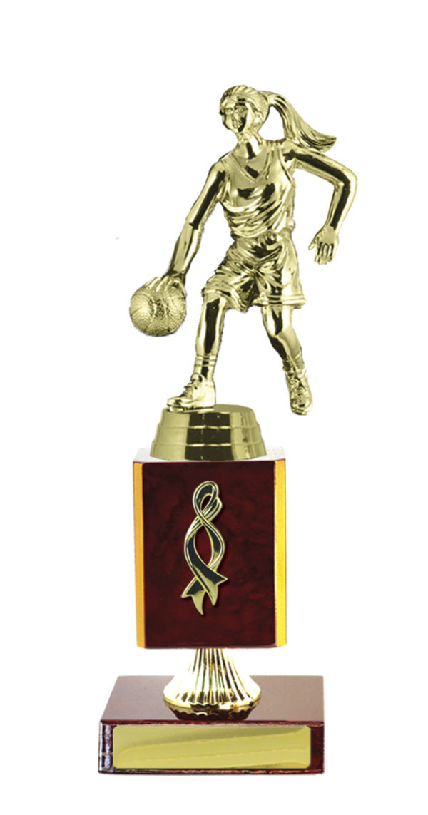 B24-2508CH : Timber Buildup Basketball - Image 3