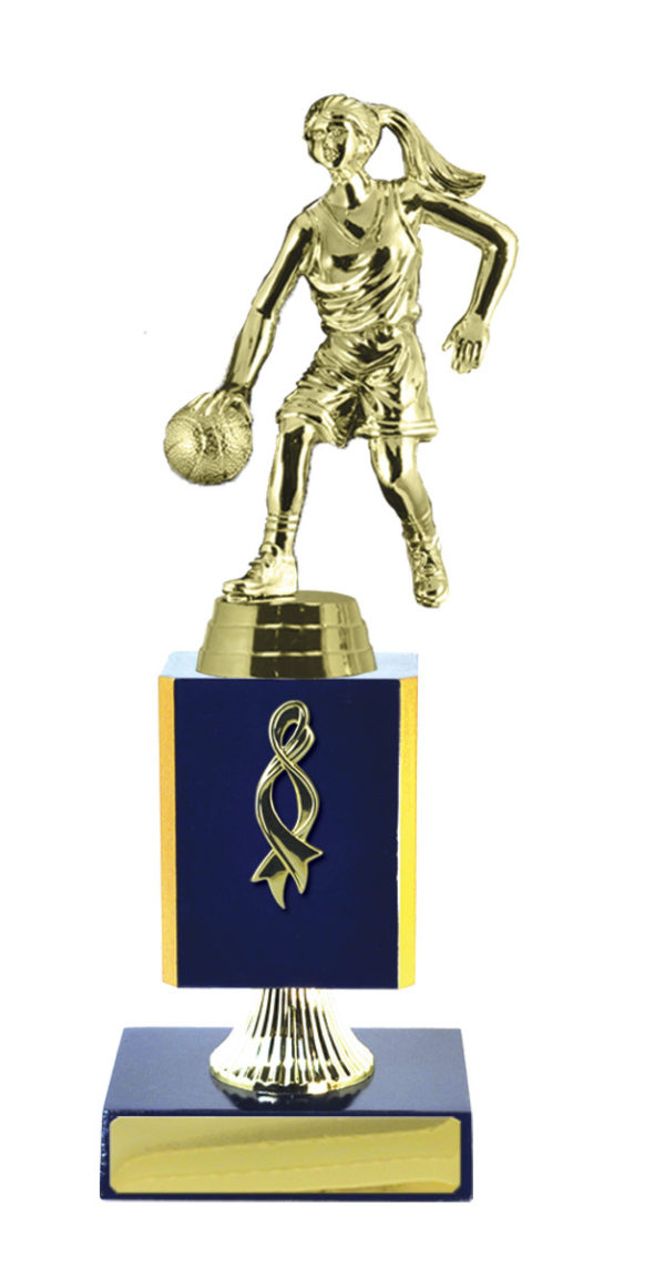 B24-2508RB : Timber Buildup Basketball - Image 3