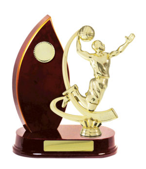 B24-2513CH: Timber Buildup Basketball