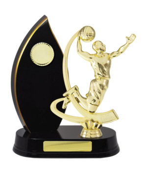 B24-2513DK: Timber Buildup Basketball