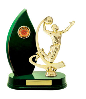 B24-2513GN: Timber Buildup Basketball