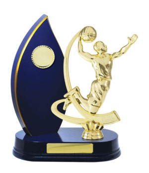 B24-2513RB: Timber Buildup Basketball