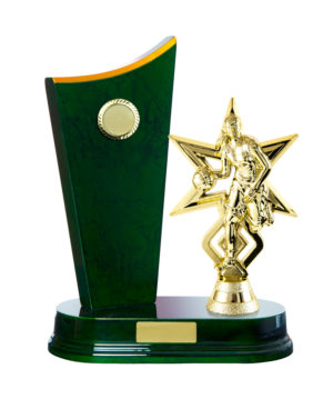 B24-2605GN: Timber Buildup Basketball