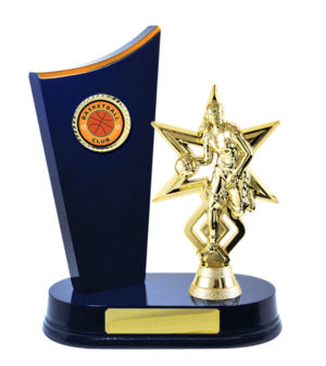 B24-2605RB: Timber Buildup Basketball