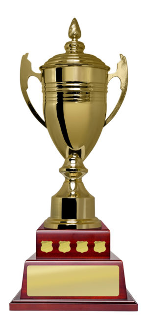 B24-2811: Cup on Perpetual Base