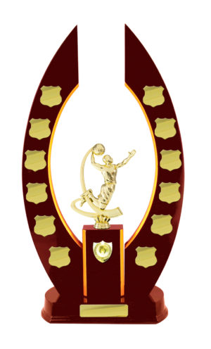 B24-2813CH: Timber Buildup Basketball