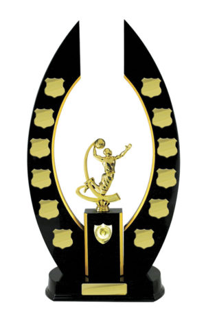 B24-2813DK: Timber Buildup Basketball