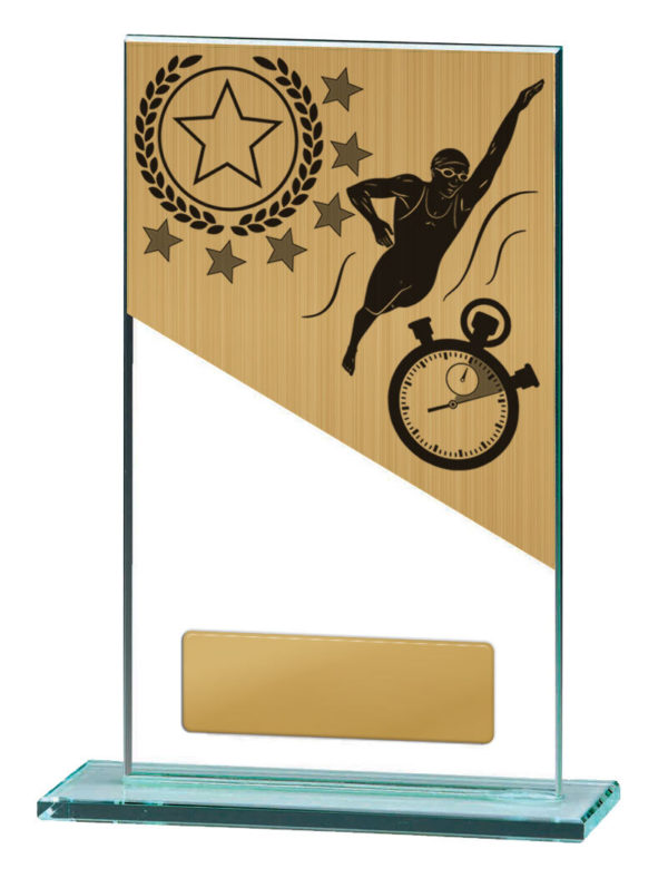 BG01A-PS2A : Swimming Theme on Glass - Image 3