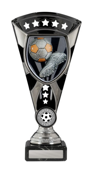 F24-0401: Cobra Cup-Football