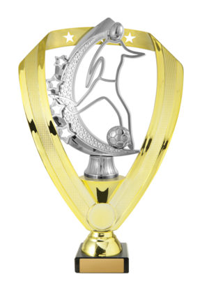 F24-2205: Backstand/Base/Football Female