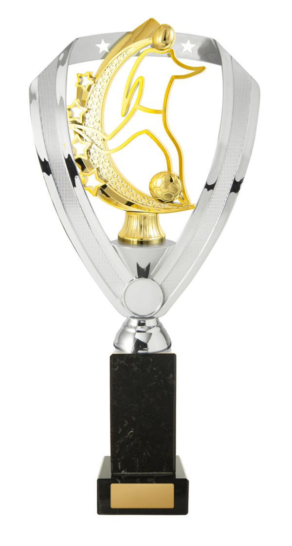 F24-2209 : Backstand/Base/Football Male - Image 4