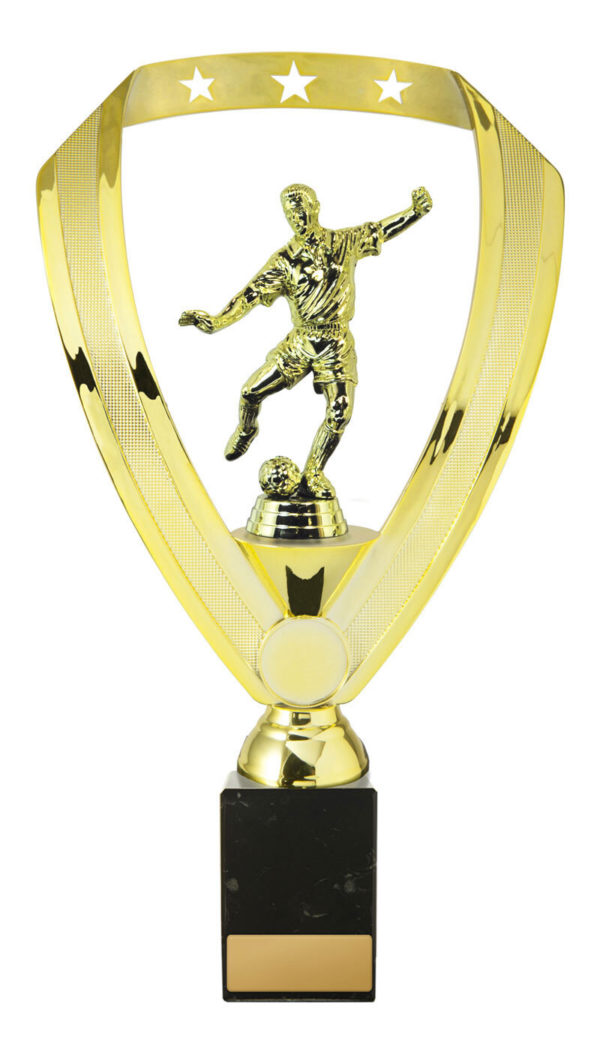 F24-2227 : Backstand/Base/Football Male - Image 3