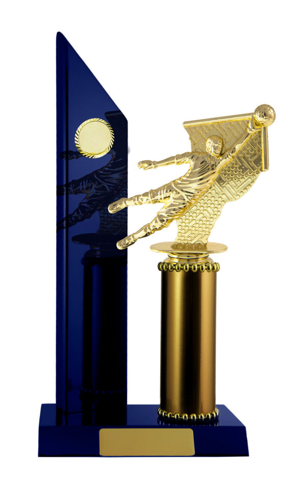 F24-3001RB : Timber Buildup Football Goalkeeper - Image 5