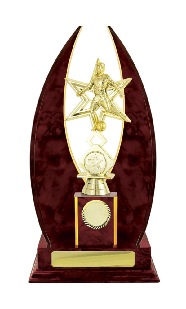 F24-3014CH : Timber Buildup Football Male - Image 3