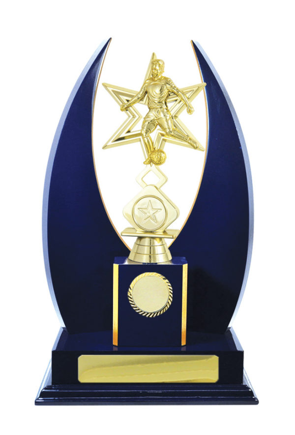 F24-3014RB : Timber Buildup Football Male - Image 3