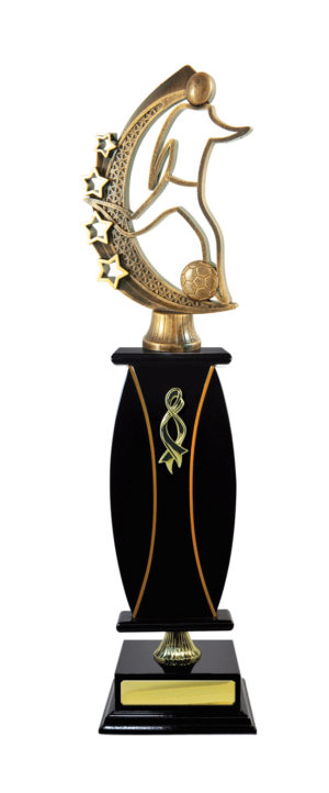 F24-3304: Timber Buildup Football Goalkeeper