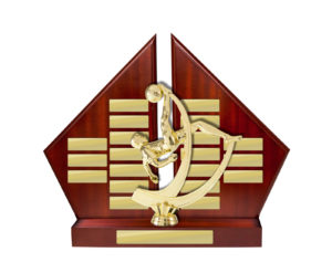 F24-3403: Perpetual Backstand