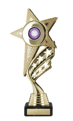 N24-0301: Star Figurine on Base