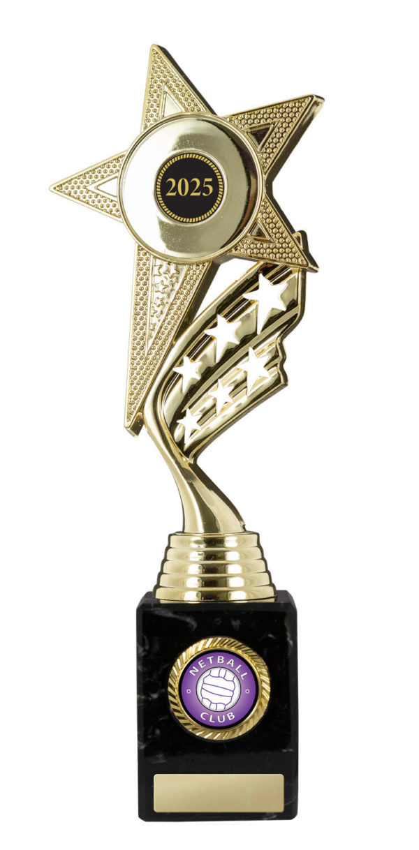 N24-0301: Star Figurine on Base - Image 3