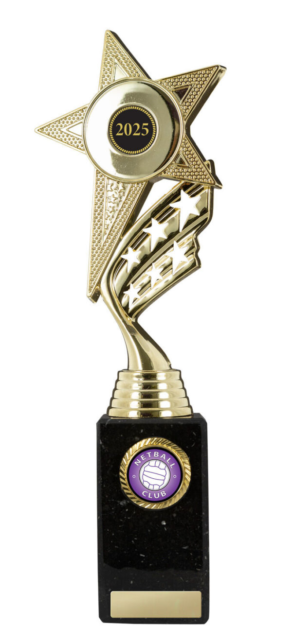 N24-0301: Star Figurine on Base - Image 4