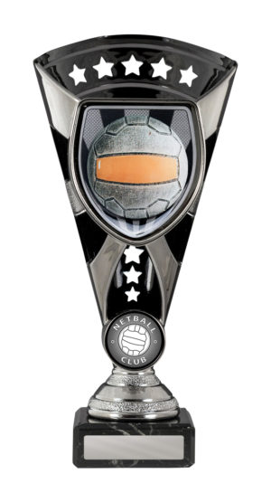 N24-0401: Cobra Cup-Netball