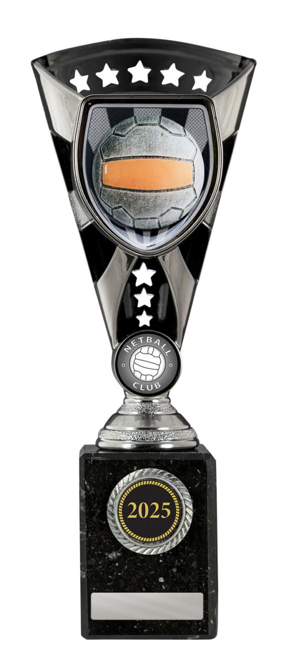 N24-0401: Cobra Cup-Netball - Image 3