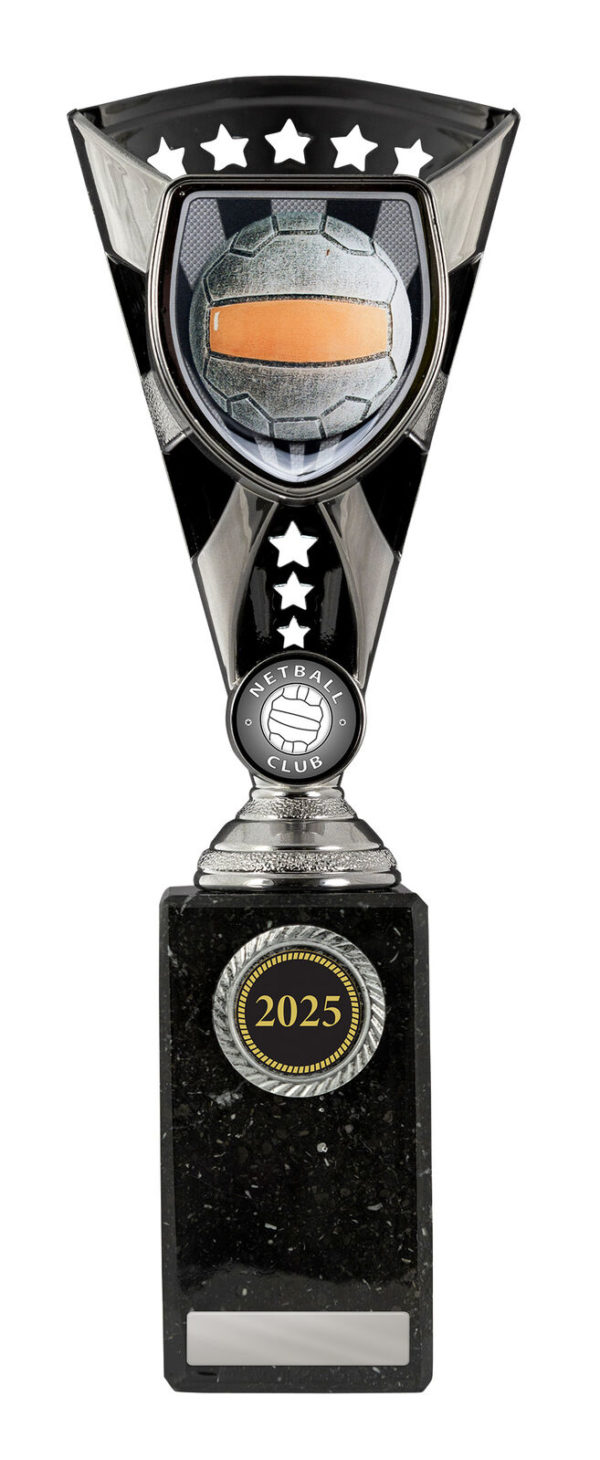 N24-0401: Cobra Cup-Netball - Image 4