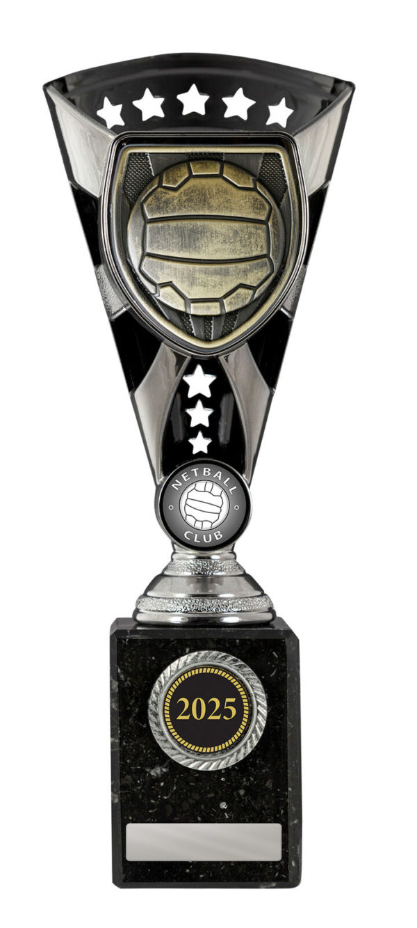 N24-0405: Cobra Cup-Netball - Image 3