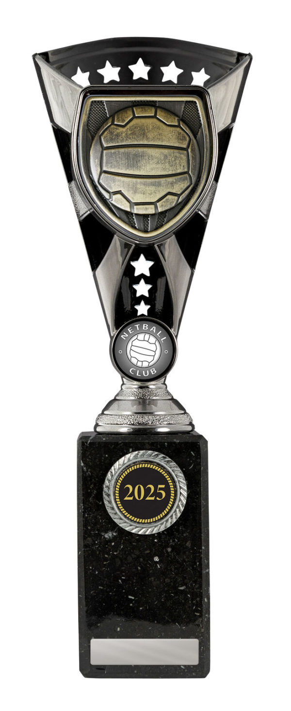 N24-0405: Cobra Cup-Netball - Image 4