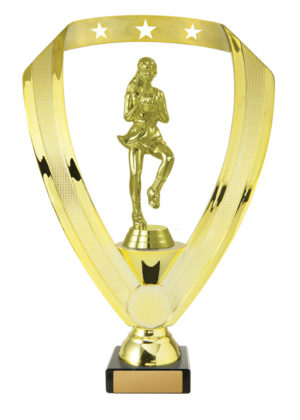 N24-2001: Netball Fig. on Base