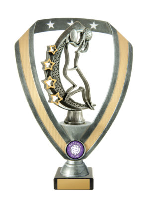 N24-2013: Netball Fig. on Base