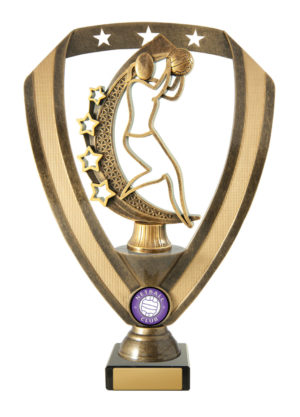 N24-2037: Netball Fig. on Base