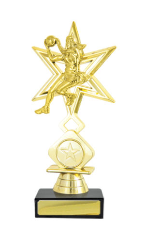 N24-2115: Netball Fig. on Base