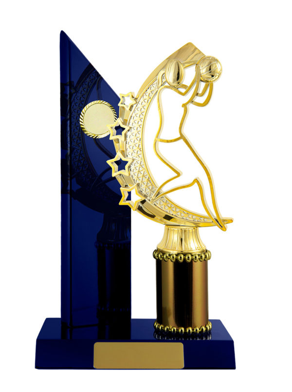 N24-2201RB : Timber Buildup Netball - Image 3