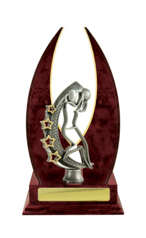 N24-2214CH: Timber Buildup Netball