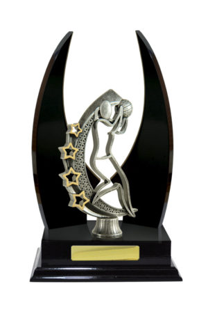 N24-2214DK: Timber Buildup Netball