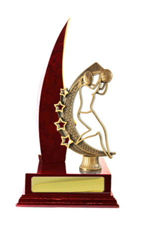 N24-2314CH: Timber Buildup Netball