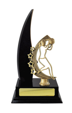 N24-2314DK: Timber Buildup Netball