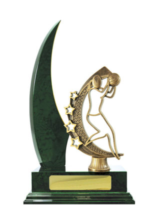 N24-2314GN: Timber Buildup Netball