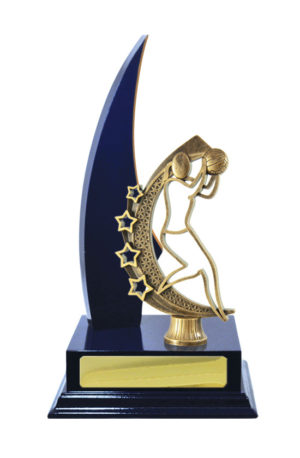 N24-2314RB: Timber Buildup Netball