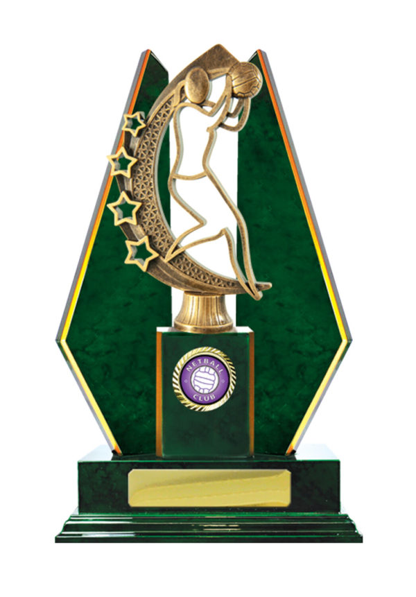 N24-2318GN : Timber Buildup Netball - Image 3