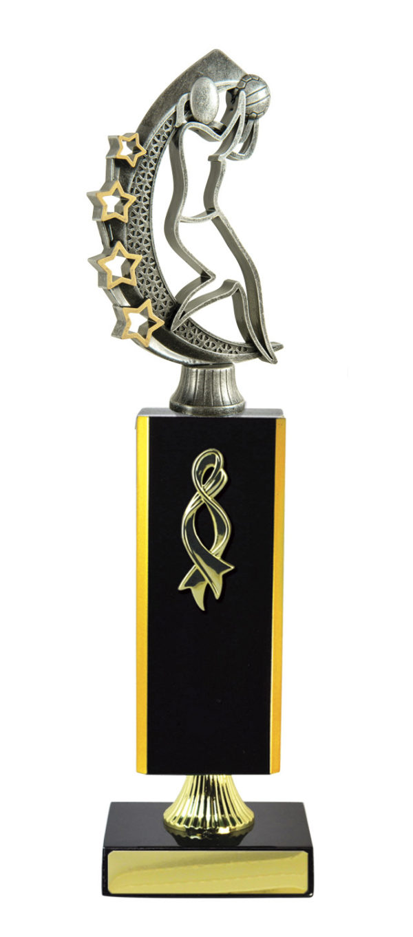 N24-2408DK : Timber Buildup Netball - Image 5