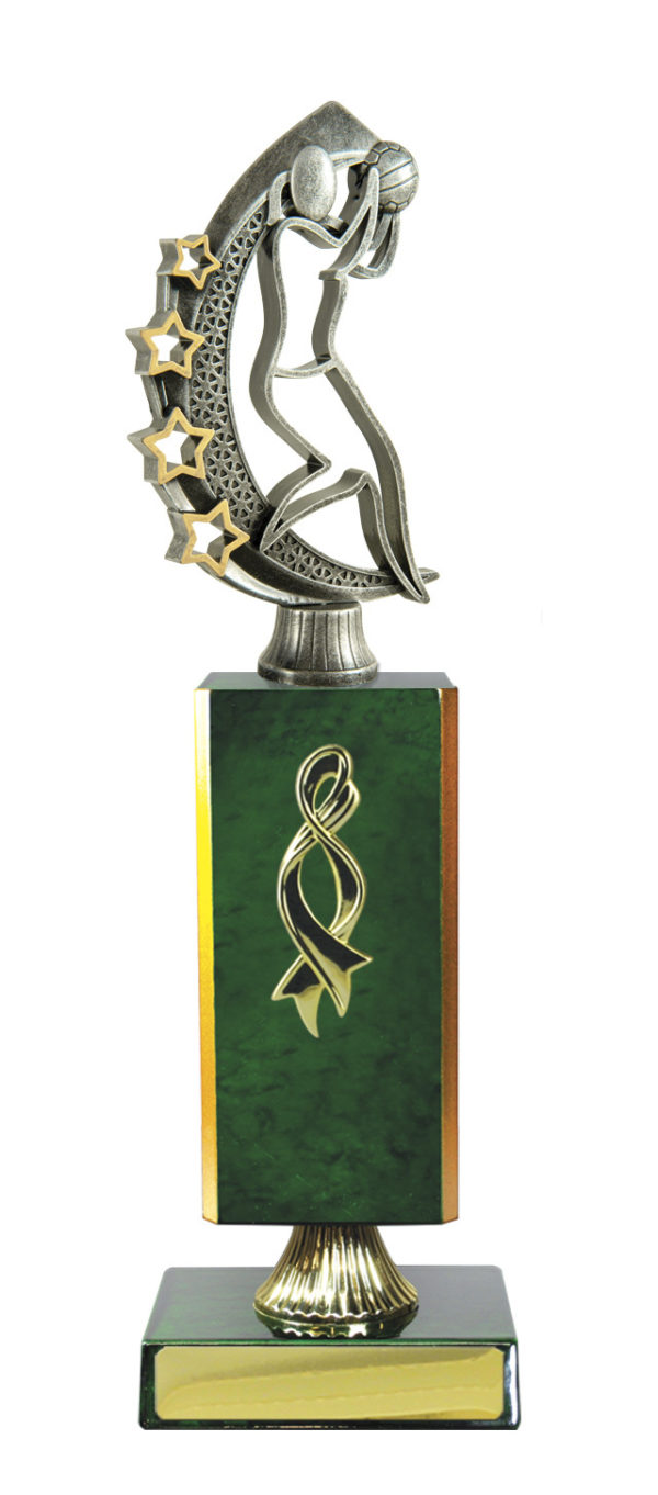 N24-2408GN : Timber Buildup Netball - Image 5