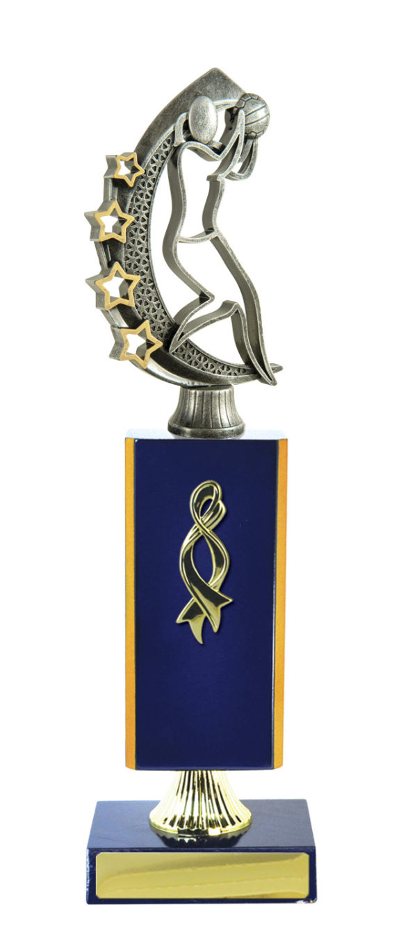 N24-2408RB : Timber Buildup Netball - Image 5