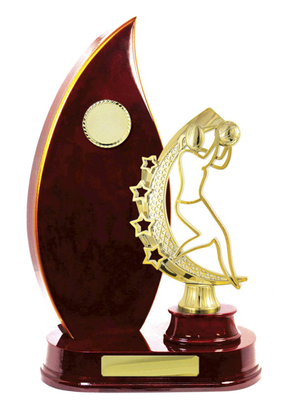 N24-2413CH : Timber Buildup Netball - Image 3