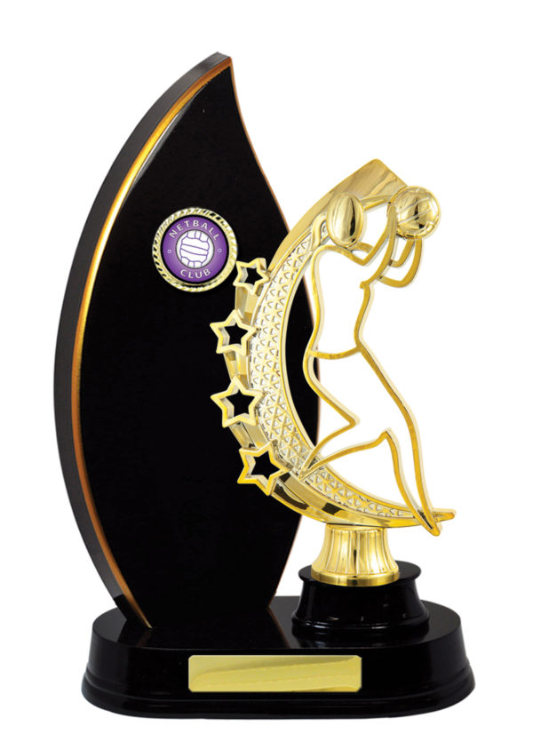 N24-2413DK : Timber Buildup Netball - Image 3