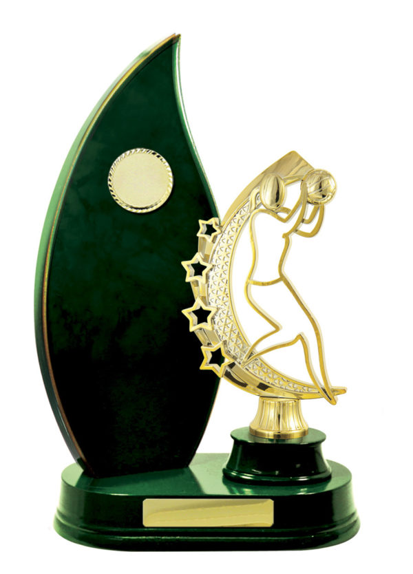 N24-2413GN : Timber Buildup Netball - Image 3